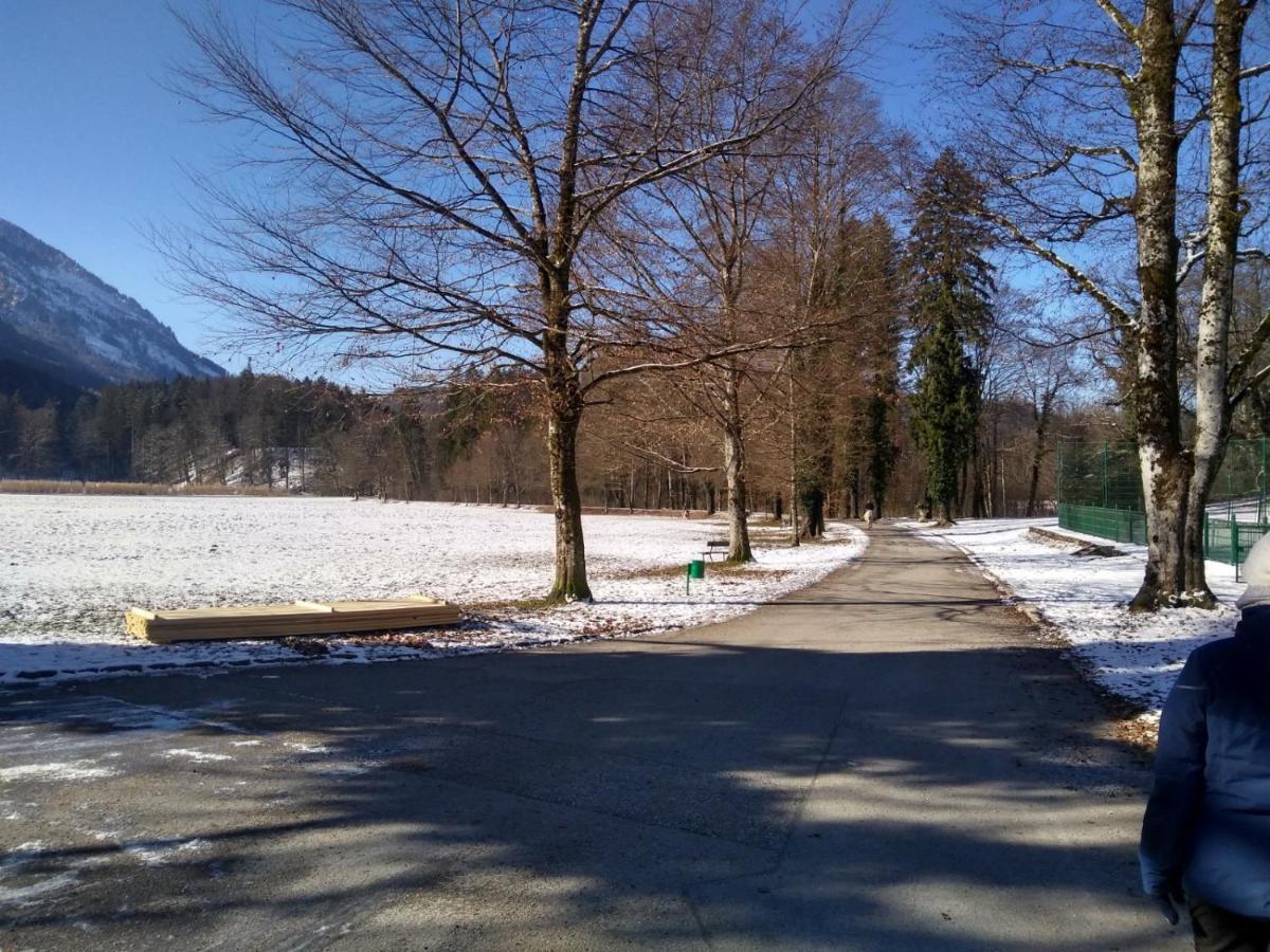 Gaestewohnung Schlossblick Grödig Exterior foto